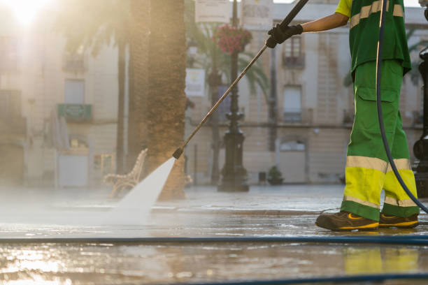 Best Solar Panel Cleaning  in La Joya, TX